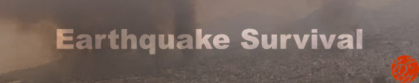 東海 南海 トラフ 沖縄 海溝 地震 津波