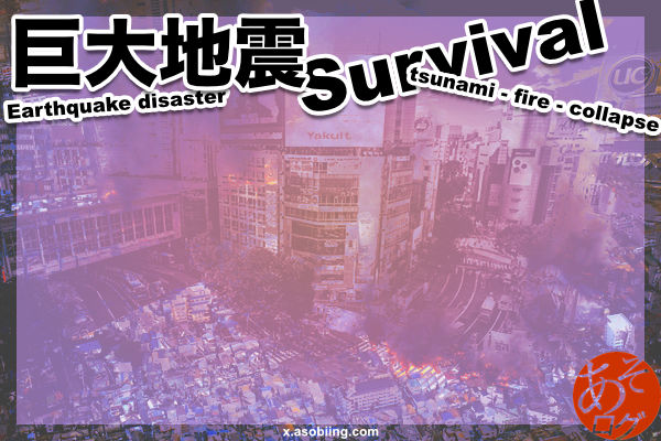 東海 南海 トラフ 沖縄 海溝 地震 津波