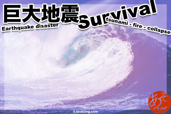 東海 南海 トラフ 沖縄 海溝 地震 津波