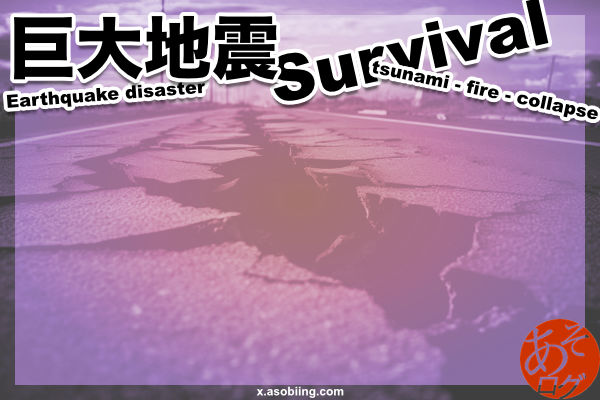 東海 南海 トラフ 沖縄 海溝 地震 津波