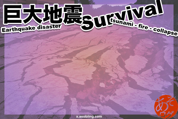 東海 南海 トラフ 沖縄 海溝 地震 津波