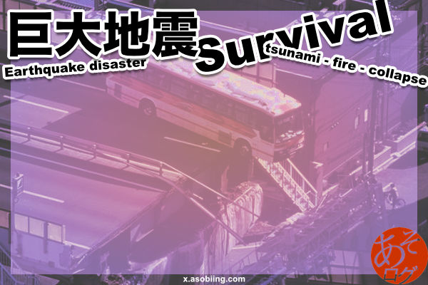 東海 南海 トラフ 沖縄 海溝 地震 津波