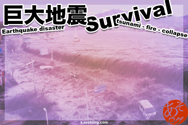 東海 南海 トラフ 沖縄 海溝 地震 津波