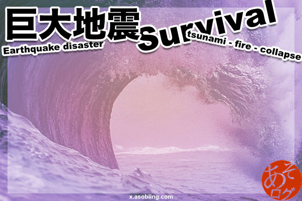 東海 南海 トラフ 沖縄 海溝 地震 津波