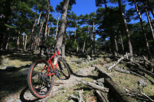 鹿児島 火口湖 林道トレイル MTBサイクリング