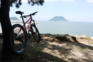 唐津城の北側城壁［舞鶴海浜公園］