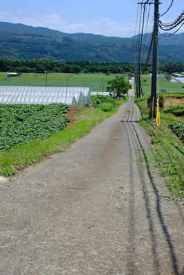 通販価格 フジノンレンズ レビュー撮影画像［XF35mmF1.4 R］