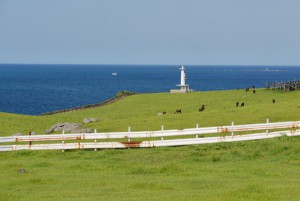 杉の原［加部島］