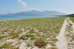 虹ノ松原から糸島方面の景色