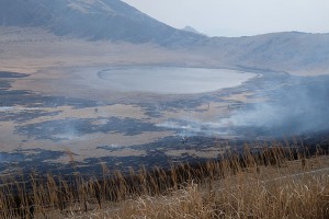 草千里溜め池周辺の焼けぐあい