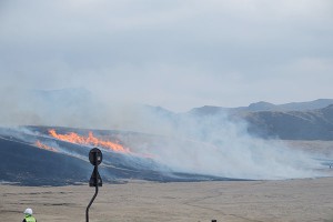 草千里野焼き東側の大部分