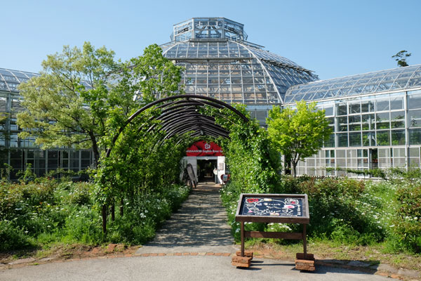 おすすめ阿蘇観光 バラ園 ローズガーデン はな阿蘇美