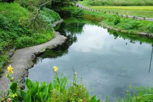 汲み場まで公園化された［小池水源・南阿蘇村］