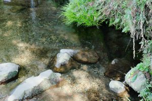 小河のように湧き出る天然水［竹崎水源・南阿蘇村］