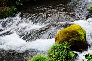 毎分60トンの湧水量［白川水源・南阿蘇村］