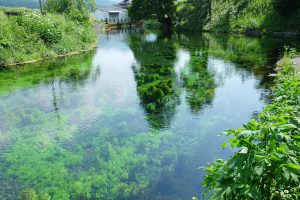 農作濯漑用水としても利用［小池水源・南阿蘇村］