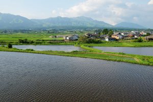 北側の農耕地帯［妙見神社の池・南阿蘇村］