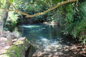 地震後 約2年ぶり湧き水満杯［塩井社水源・2018年7月31日 現在］