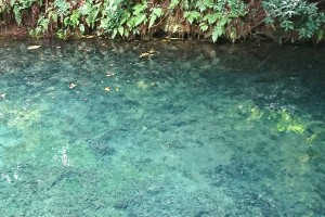 地震後 再び湧き水復活［塩井社水源・2018年7月25日 現在］