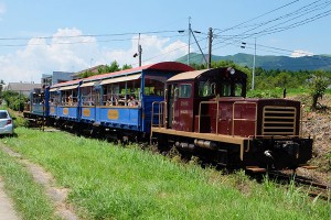 南阿蘇鉄道トロッコ列車「ゆうすげ号」