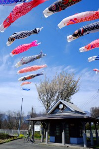 春の鯉のぼり［見晴台・南阿蘇鉄道］