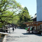 2017年4月28日現在：GW前の状況［阿蘇神社］