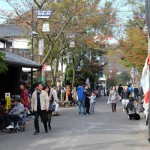 神社境内の紅葉［阿蘇神社］