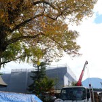 神社境内の紅葉［阿蘇神社］