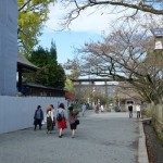 神社境内の紅葉［阿蘇神社］