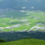 カルデラ平野部の農耕地［大観峰・散策コース］