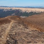 遊歩道から外れても大丈夫［大観峰・散策コース］