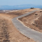 多くベンチが設置される［大観峰・散策コース］