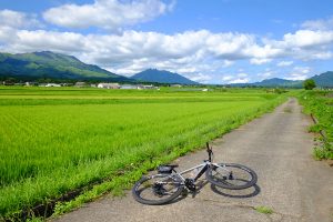 2017 Toughroad SLR 0レビュー《2：実走》