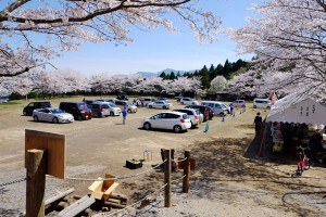 開花期間中の臨時駐車場と出店［観音桜・南阿蘇村］