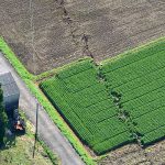 益城町の地層ズレ『午後ティー ロケ地』熊本地震 被災画像