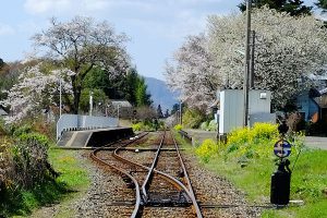  中松駅 見頃［南阿蘇村：桜 名所］