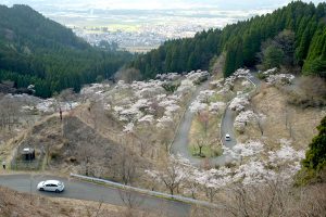 高森峠千本桜 九十九曲がり［阿蘇 高森町：桜 名所］