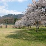 休暇村南阿蘇 見頃［阿蘇 高森町：桜 名所］