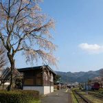 高森駅 見頃［阿蘇 高森町：桜 名所］