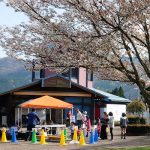 高森駅 見頃［阿蘇 高森町：桜 名所］