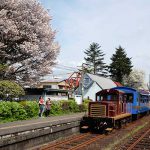  中松駅 見頃［南阿蘇村：桜 名所］