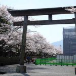  阿蘇神社 見頃［阿蘇市：桜 名所］