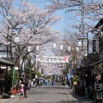 門前町商店街 見頃［阿蘇市：桜 名所］