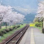 長陽駅［南阿蘇村：桜 名所］