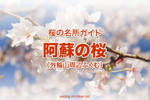 熊本の桜 南阿蘇 高森 大津 山都 場所 地図