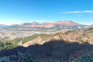 高森峠千本桜 九十九曲がり［阿蘇 高森町：桜 名所］