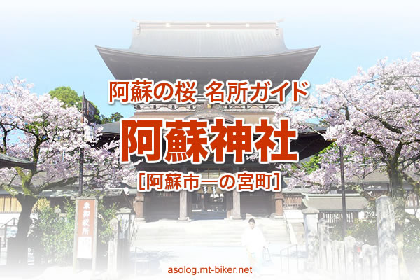 阿蘇神社 見頃 参拝時間 桜の名所 場所 駐車場