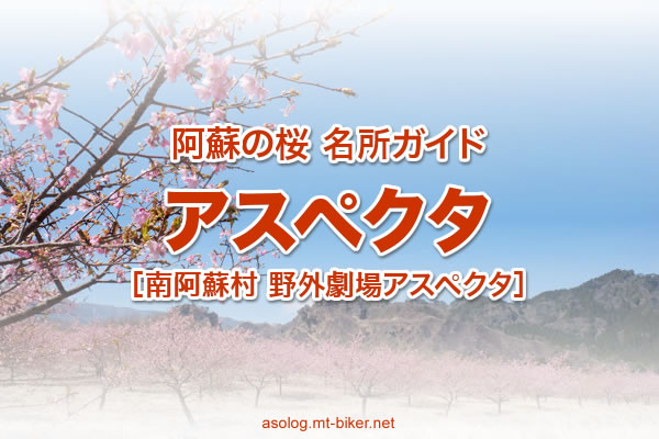 アスペクタ桜公園 桜の開花 南阿蘇 花見 駐車場