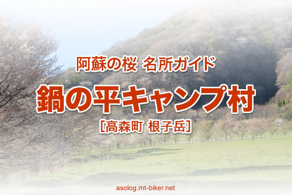 鍋の平キャンプ村 見頃 阿蘇 高森 桜の名所 場所 駐車場