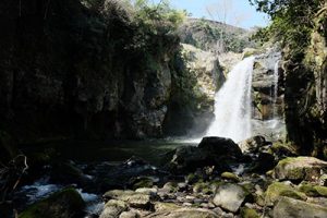 宮城の里 しだれ桜［大分竹田市 宮城地区］